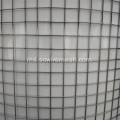 1/4 "3/4" Rolled Wire Mesh Welded Stainless Steel